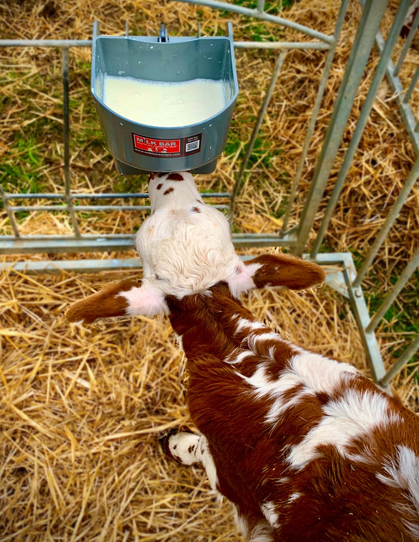 Milk Bar™ 1 4L