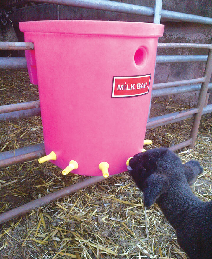 Milk Bar™ Lamb/ Kid Training Teat