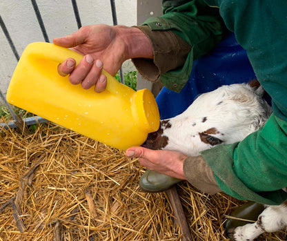 Milk Bar™ Training Bottle