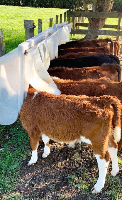 Milk Bar™ Bird Proof Meal Bar