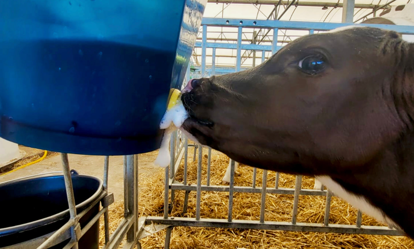 Calf Buddy™ Training Teat