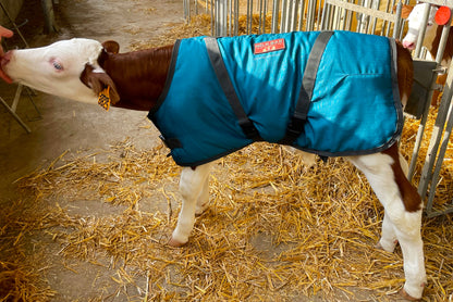 Milk Bar™ Premium Calf Coat - Med