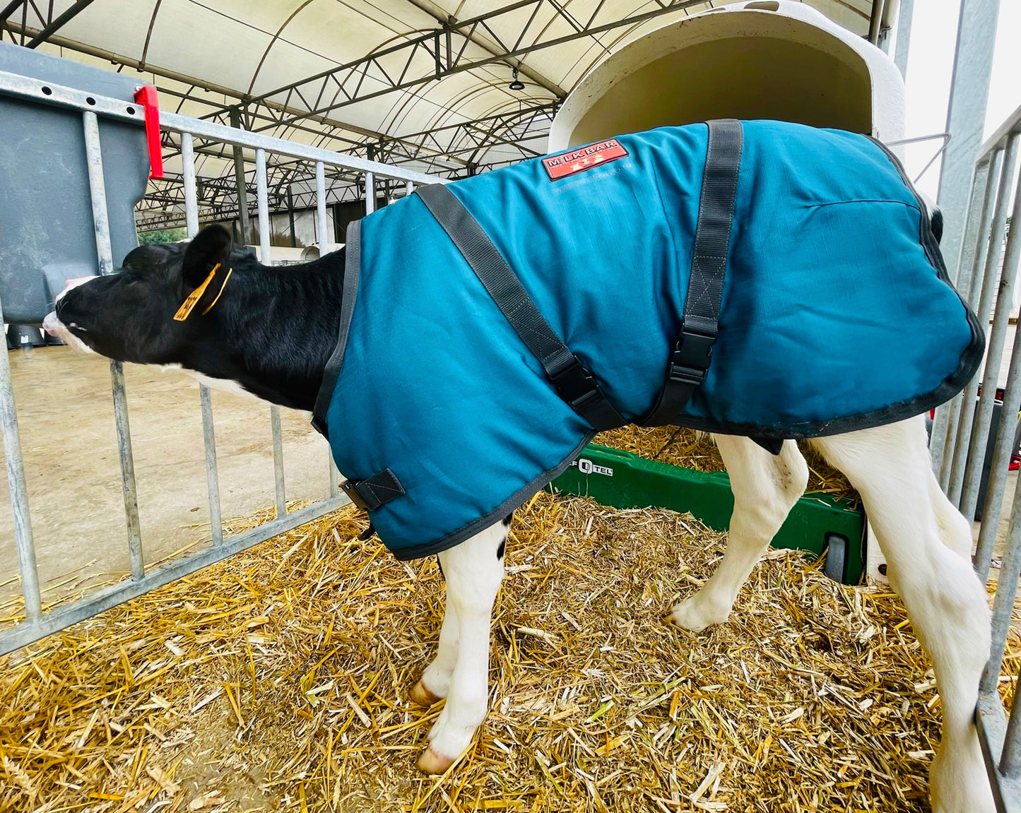 Milk Bar™ Premium Calf Coat - Med